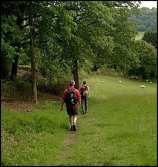 Larry in the lead on the path from Wickeridge Hill to the Stroud to Slad Road.
